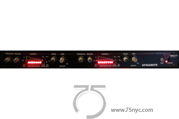 Enlarged view of image